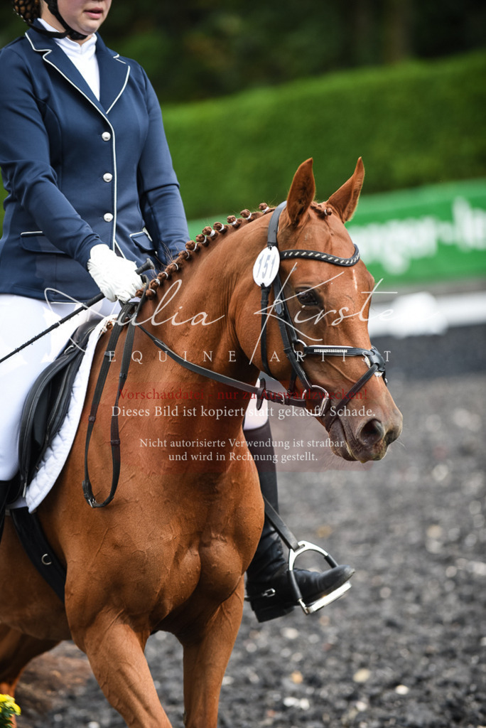 DSC_3425 | Pferde- und Turnierfotografie in Westsachsen. Pferdeportraits, Auftragszeichnungen und intuitive Kunst.