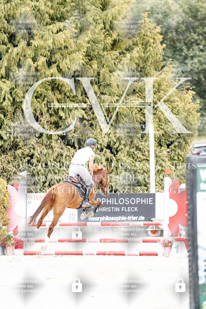 CK907747 | Turnierfotografie Pferdefotografie Trier Rheinland-Pfalz Pferdesport Reitsport Tierfotografie Sportfotografie Pferdevideo Pferdevideografie Equestrianvideography equestrianphotography  - Realisiert mit Pictrs.com