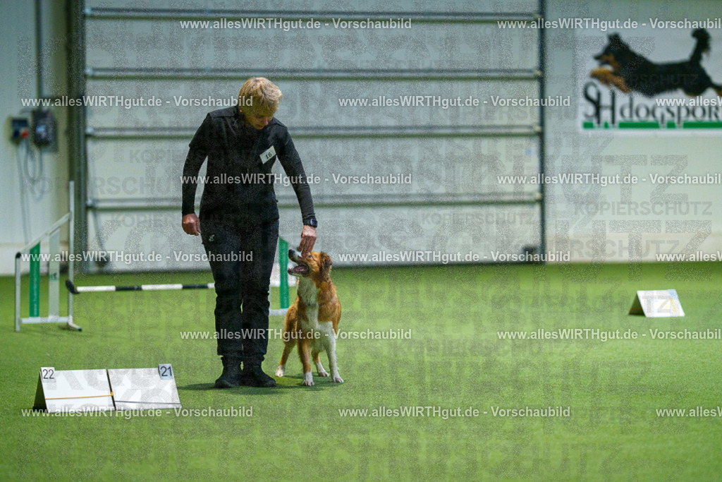 7R505503 | Professionelle Tierfotografie in Mönchengladbach von Daniel Wirth (allesWIRTHgut). Liebevolle & natürliche Bilder von Hunden & Katzen für unvergessliche Erinnerungen.