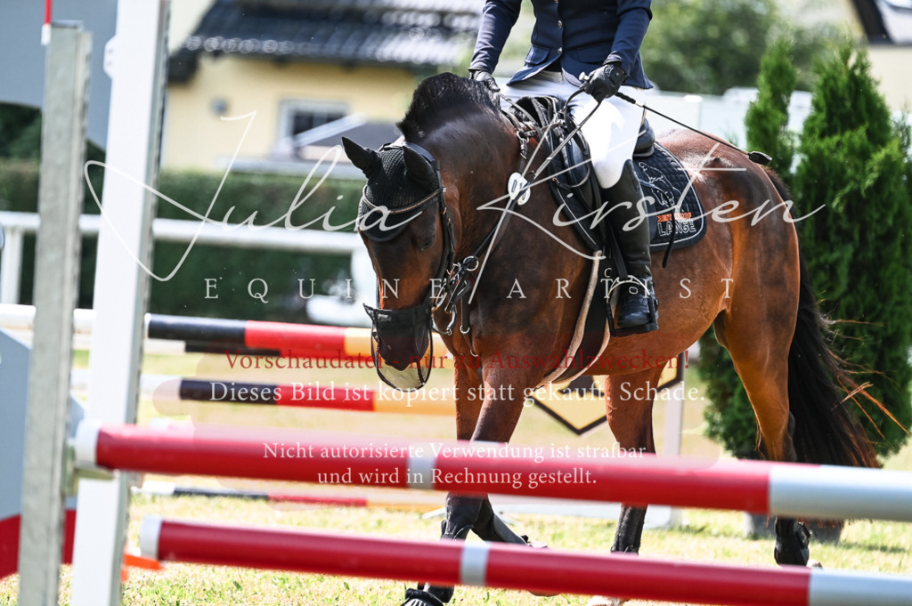 DSC_8874 | Pferde- und Turnierfotografie in Westsachsen. Pferdeportraits, Auftragszeichnungen und intuitive Kunst.