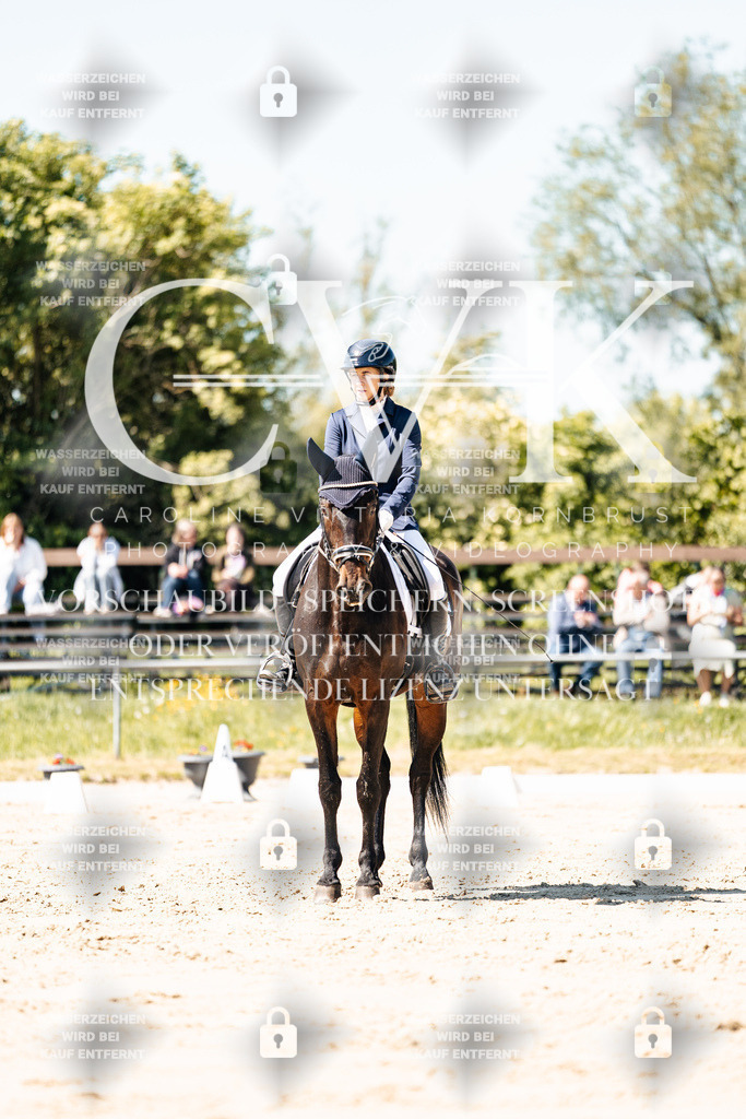 CK905266 | Turnierfotografie Pferdefotografie Trier Rheinland-Pfalz Pferdesport Reitsport Tierfotografie Sportfotografie Pferdevideo Pferdevideografie Equestrianvideography equestrianphotography  - Realisiert mit Pictrs.com