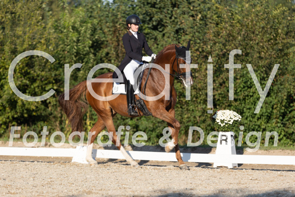 IMG_1371 | Creatify Fotografie