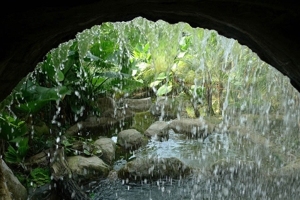 Gondwanaland im Zoo Leipzig | Das Team hinter BILDLEXIKON LEIPZIG bündelt historische wie aktuelle Informationen über die Stadt Leipzig in Text und Bild auf einer Plattform und stellt diese der interessierten Öffentlichkeit zur Verfügung.