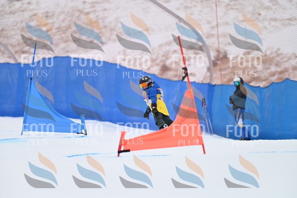 BGV_4278 | holidayphoto