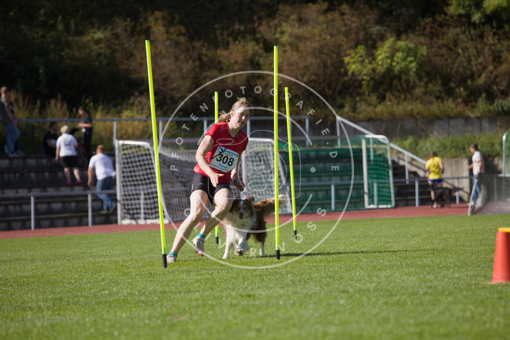 0L8A8365 | Hundefotografie, Tierfotograf, Pfotenfotografie, Fotoshooting Hund, Hunde Portrait, Hundesport, Hundeportraits, Heideshooting, Hunde, Sportfotograf, Hundefotograf, Turnierhundsport, THS,  - Realisiert mit Pictrs.com