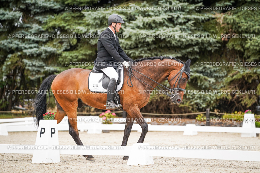 DSC07149 | Pferdegrafie