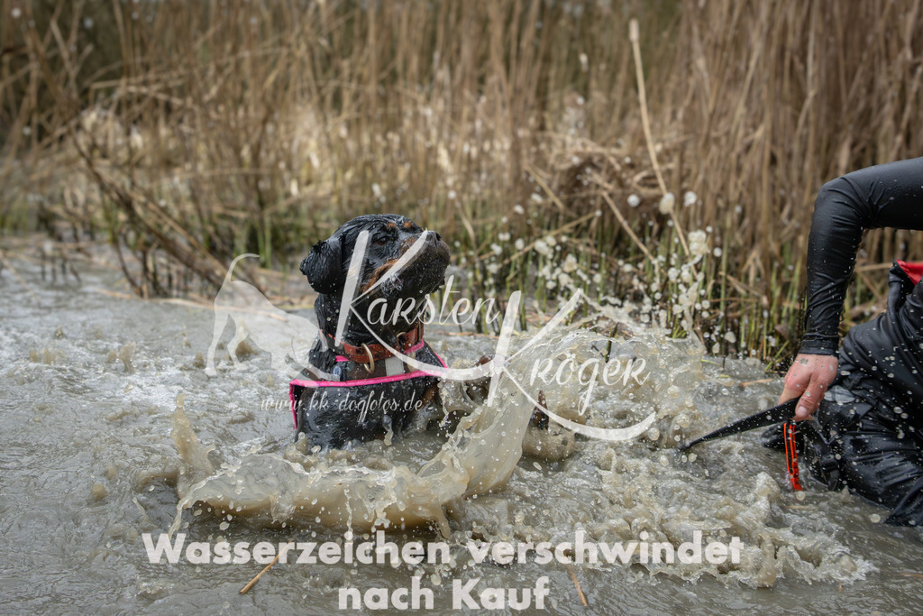 1349_ZZ93217 | kk-dogfotos