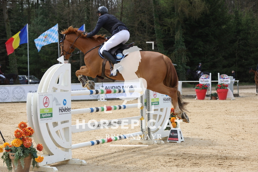 0P6A5584 | Willkommen bei Brunnmayr - Design & Fotografie – Ihrem Spezialisten für Reitturniere und Pferdeveranstaltungen in Oberösterreich, Salzburg und Bayern! Seit über 17 Jahren sind wir leidenschaftlich dabei.