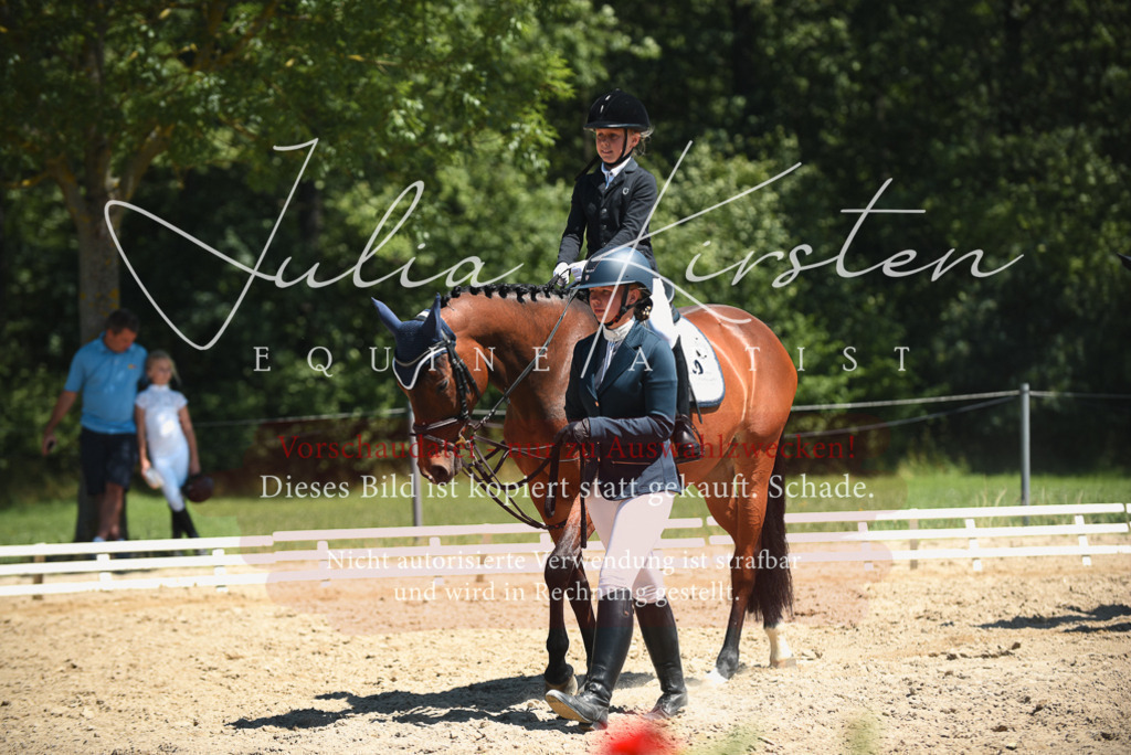 DSC_1815 | Pferde- und Turnierfotografie in Westsachsen. Pferdeportraits, Auftragszeichnungen und intuitive Kunst.