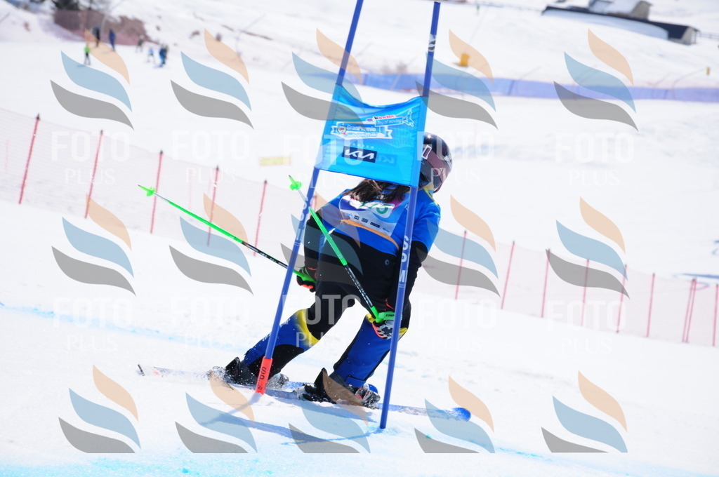 DSC_1131 | holidayphoto