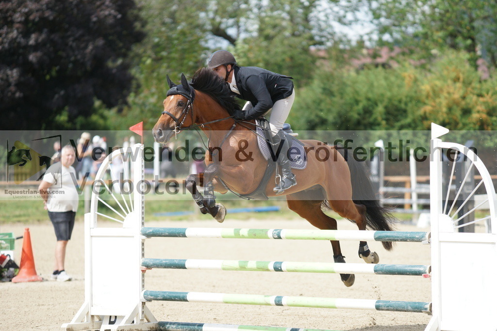 DSC06485 | equestrian-live-com