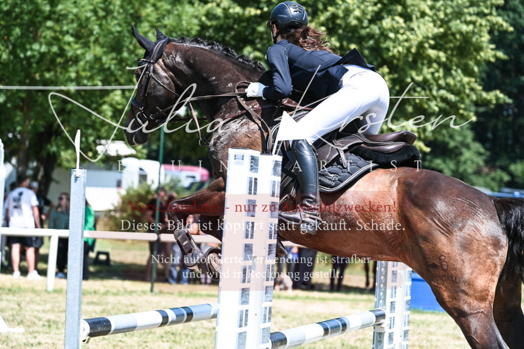 DSC_0436 | Pferde- und Turnierfotografie in Westsachsen. Pferdeportraits, Auftragszeichnungen und intuitive Kunst.