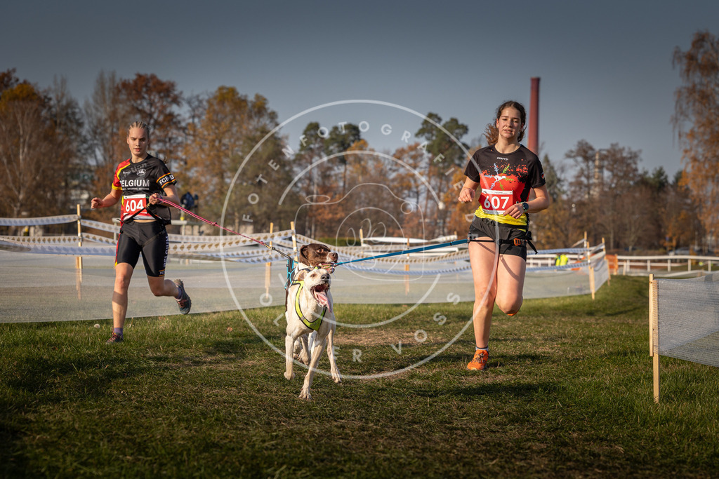 CaniXpix_0L8A0102 | Hundefotografie, Tierfotograf, Pfotenfotografie, Fotoshooting Hund, Hunde Portrait, Hundesport, Hundeportraits, Heideshooting, Hunde, Sportfotograf, Hundefotograf, Turnierhundsport, THS,  - Realisiert mit Pictrs.com