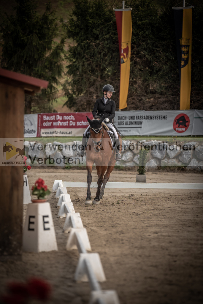 DSC_8497 | equestrian-live-com