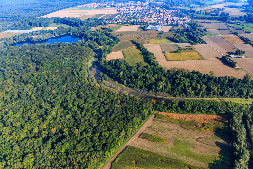 Luftbild: Michelsbach fliest aus einem See im Wald der Rheinauen am Brandgraben im Ortsteil Sondernheim in Germersheim im Bundesland Rheinland-Pfalz in Deutschland. Foto: IMG_094761.jpg vom 24.09.2016 durch Werner Riehm/FLY-FOTO.de