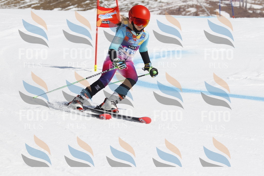 _U3G0965 | holidayphoto