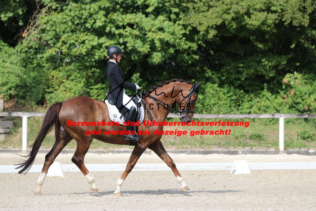 IMG_6850 | lmwpictures - Realisiert mit Pictrs.com