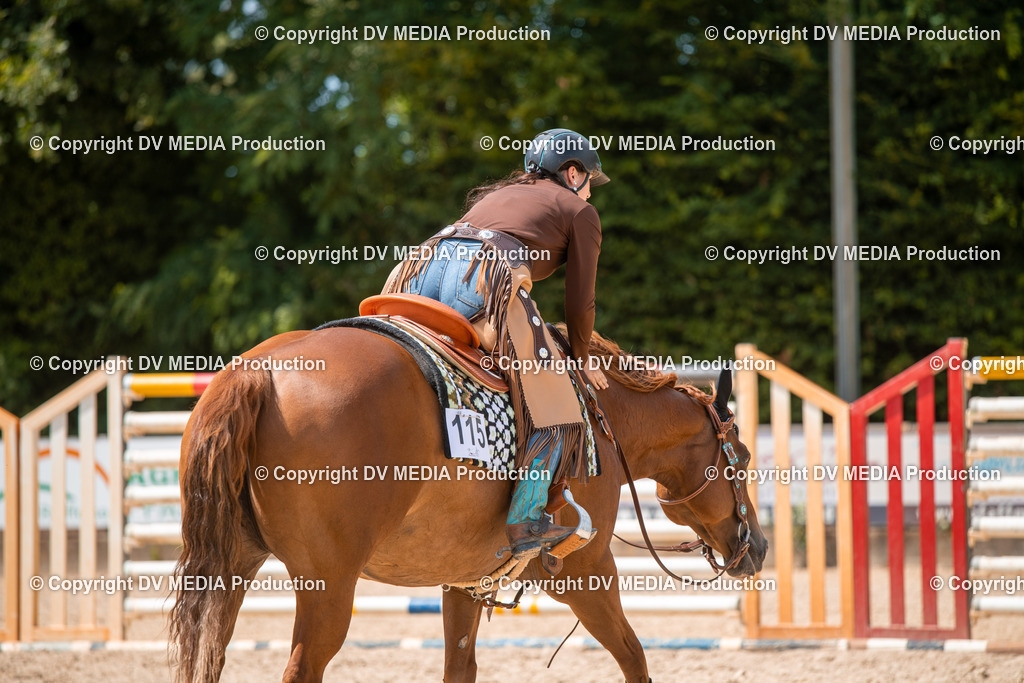 EWP_6673 | dv-media-shop - Realisiert mit Pictrs.com