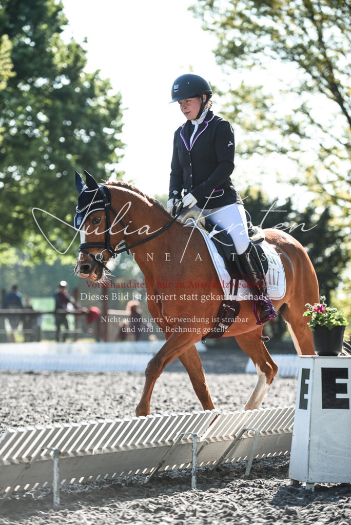 DSC_8408 | Pferde- und Turnierfotografie in Westsachsen. Pferdeportraits, Auftragszeichnungen und intuitive Kunst.