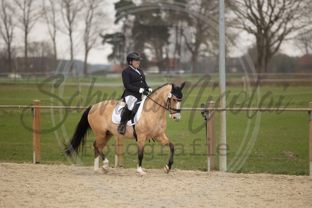 994A9335 | sabrinanicolaifotografie - Realisiert mit Pictrs.com