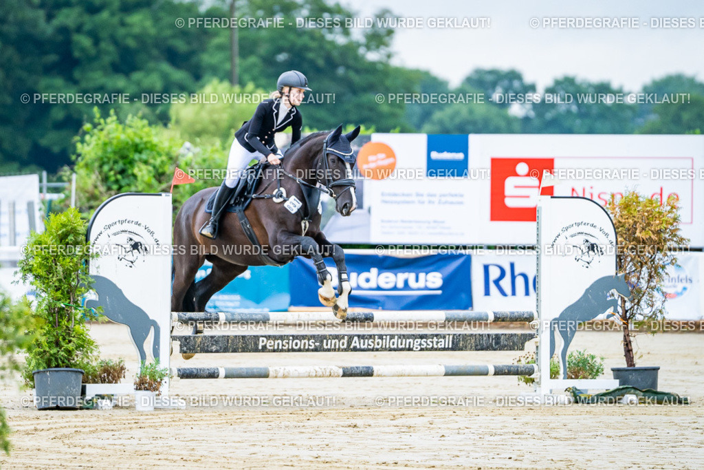 DSC00929 | Pferdegrafie