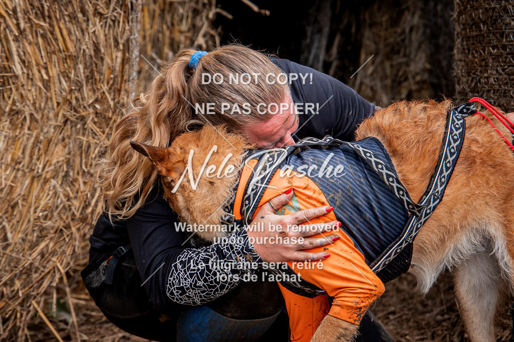 nelerasche_Hunsrück_So09-11_361 | nelerasche
