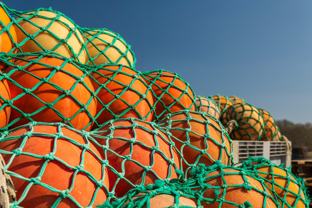 2025_03_28_OSTSEE-KAPPEL+MASSHOLM+QUERN_MCP7759 | Hochwertig gedruckte Fotografien für die Wand, als Kalender und zum Verschenken. Hamburg & Norddeutschland und überall wo ich mit der Kamera unterwegs war.
