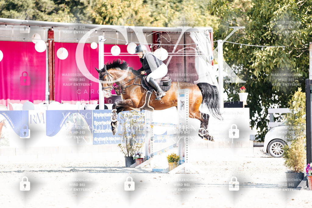 CK902520 | Turnierfotografie Pferdefotografie Trier Rheinland-Pfalz Pferdesport Reitsport Tierfotografie Sportfotografie Pferdevideo Pferdevideografie Equestrianvideography equestrianphotography  - Realisiert mit Pictrs.com