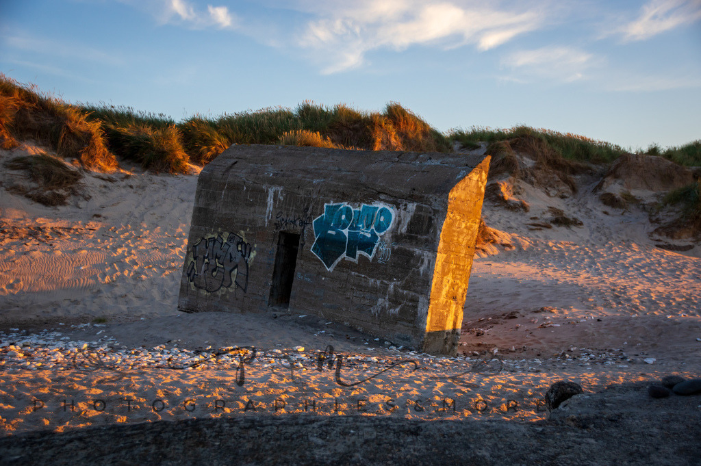 _Sommer2022-0796 | Photographies and more - Realisiert mit Pictrs.com