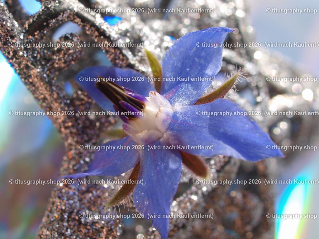 titusgraphy_P9281646-vz-ln | titusgraphy-shop: Geschenkideen mit Qualitätsfotos. titusgraphy-shop: gift ideas with quality photos. titusgraphy-shop: idées cadeaux avec photos de qualité.  - Realisiert mit Pictrs.com