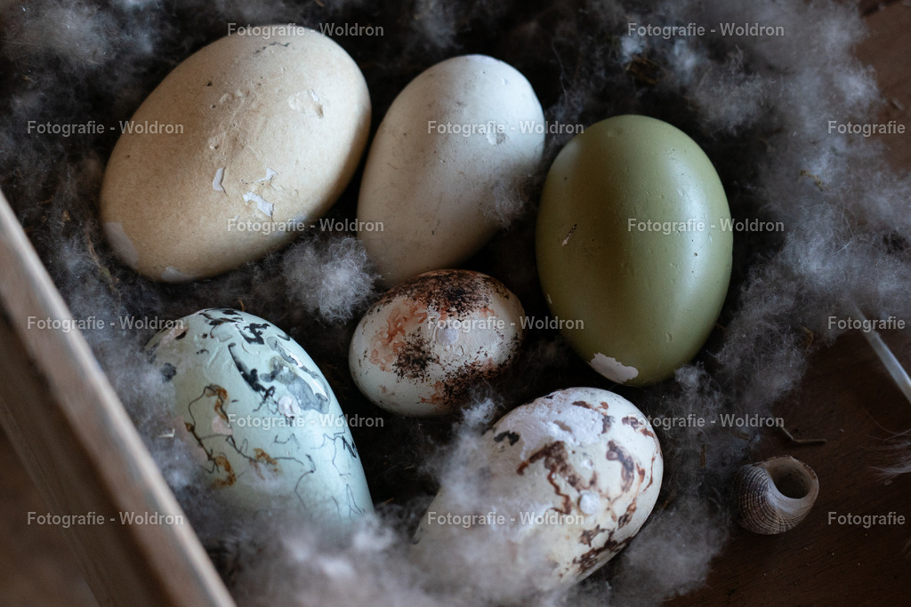 20230815 Isle of Sky - St.Andrews - Dundee-45 | Fotografie Woldron