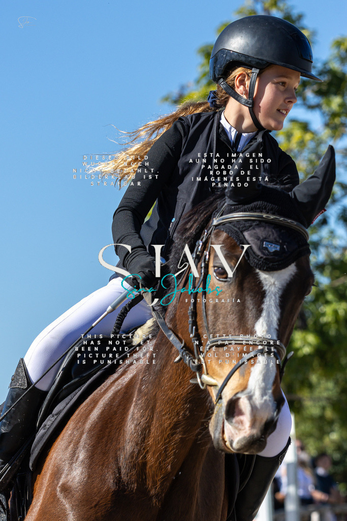 IMG_8626 | s-jay-photography - Realisiert mit Pictrs.com