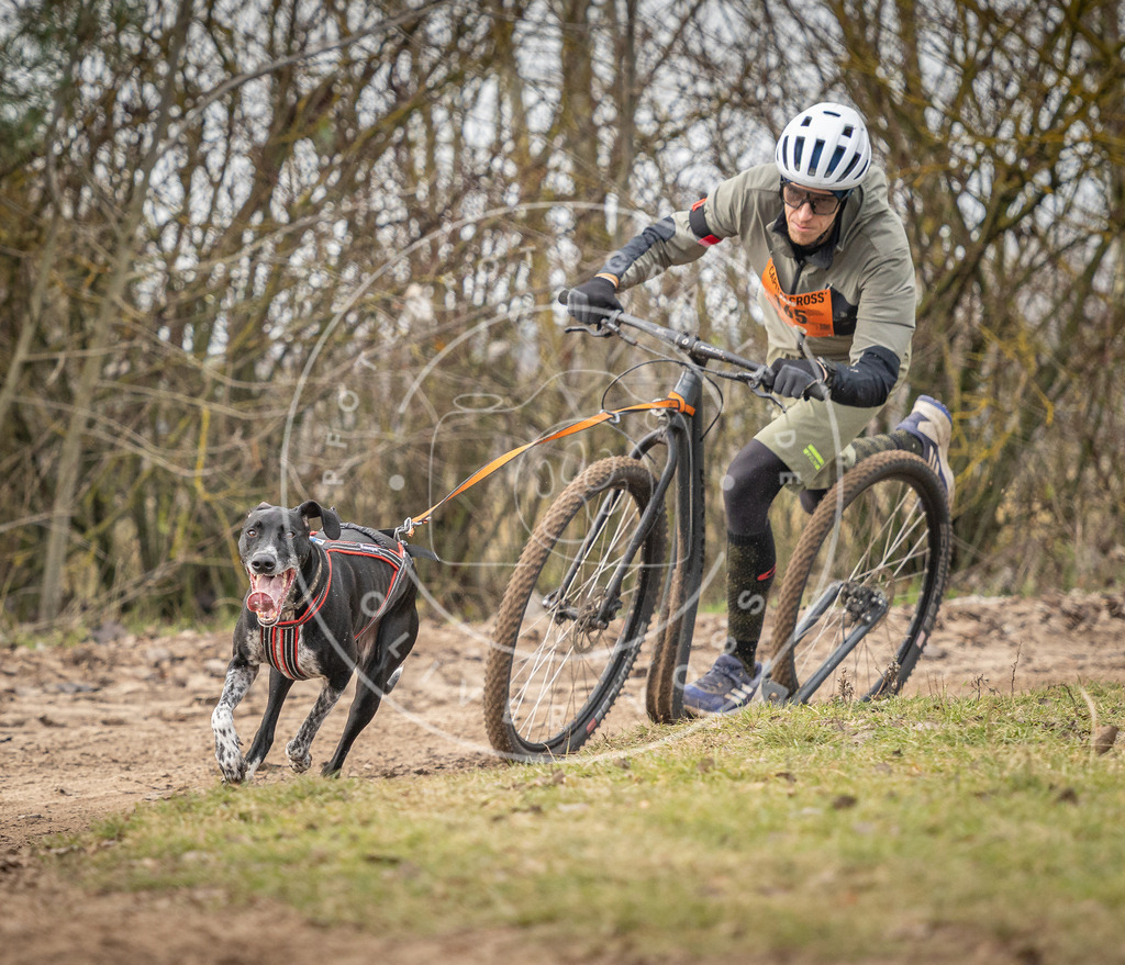 Pfotenfotografie_DV3A9359 | Hundefotografie, Tierfotograf, Pfotenfotografie, Fotoshooting Hund, Hunde Portrait, Hundesport, Hundeportraits, Heideshooting, Hunde, Sportfotograf, Hundefotograf, Turnierhundsport, THS,  - Realisiert mit Pictrs.com