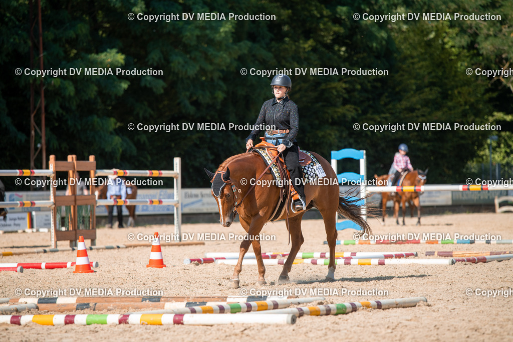 EWP_6928 | dv-media-shop - Realisiert mit Pictrs.com