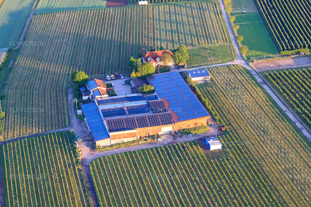 Luftbild: Gertrudenhof in Impflingen im Bundesland Rheinland-Pfalz in Deutschland. Foto: IMG_64558.jpg vom 04.05.2014 durch Werner Riehm/FLY-FOTO.deWein | Weinhaus Pfaffmann | Impflingen