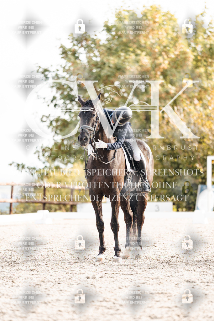 CK901166 | Turnierfotografie Pferdefotografie Trier Rheinland-Pfalz Pferdesport Reitsport Tierfotografie Sportfotografie Pferdevideo Pferdevideografie Equestrianvideography equestrianphotography  - Realisiert mit Pictrs.com