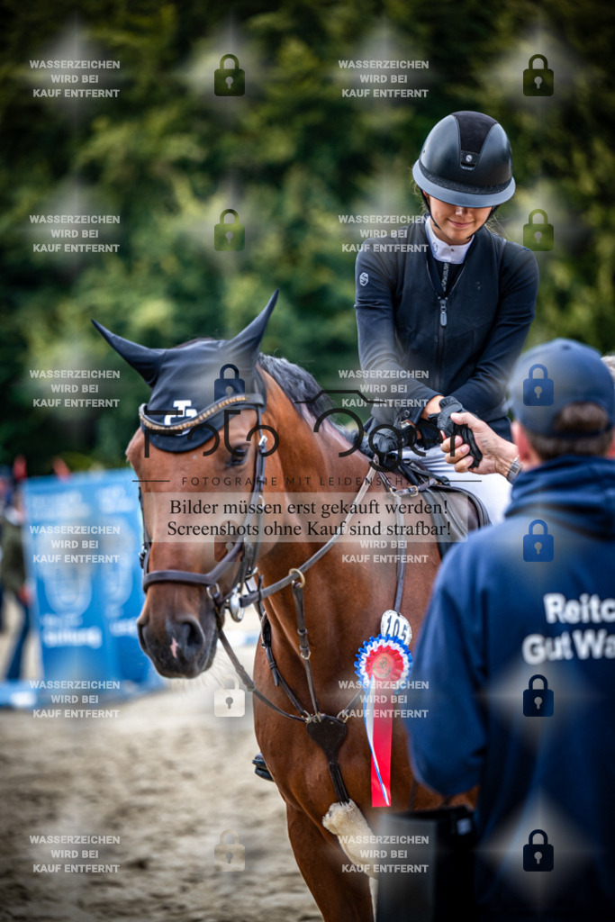 2026-09---Waldhof-11-0037 | Entdecke hochwertige Reitturnierfotos von Foto Oger. Professionell, emotional und authentisch – jetzt Lieblingsmomente im Shop bestellen.Deutschlandweite Turnierfotografie. - Realisiert mit Pictrs.com