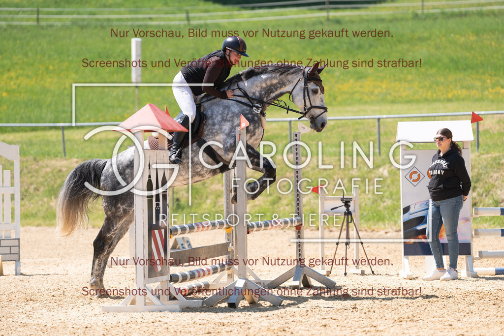DSC04519 | Springturnier_Ehingen_Mai_2026, Emma_Kunz, Hicksteads_Catchy