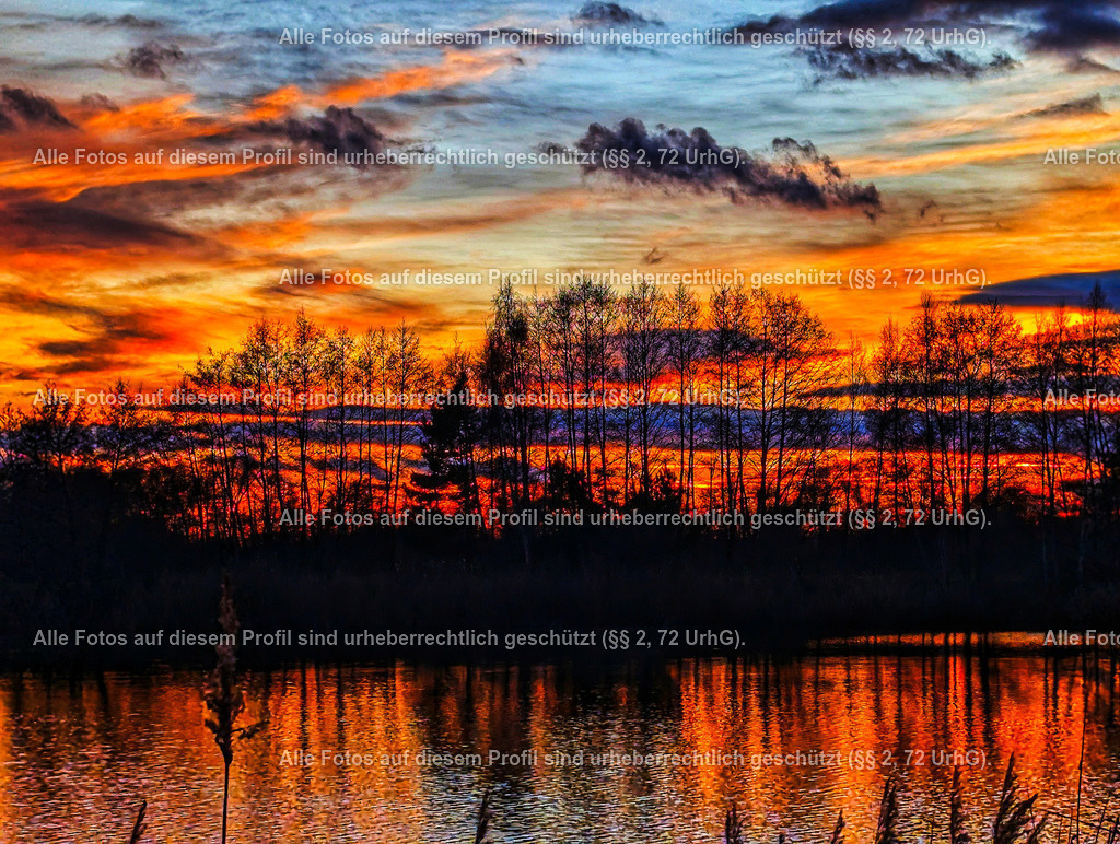 PXL_20221229_151140419-01-01 | krollfotografie - Realisiert mit Pictrs.com