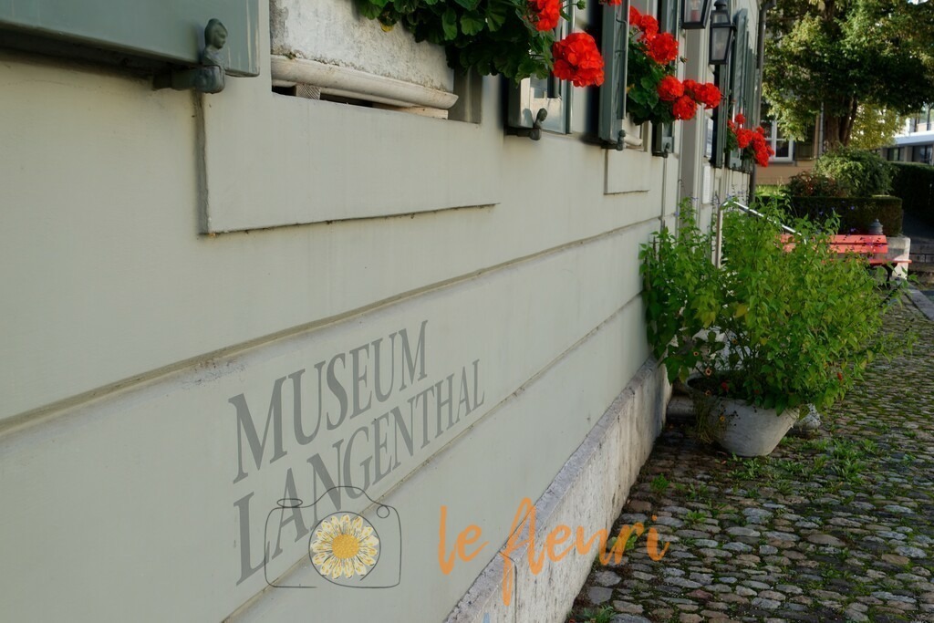 DSC_0504-NEF_DxO_DeepPRIME | Dies ist der Shop von Florian Blum - le fleuri. Langenthal, Bern, SchweizSie können hier meine oder ihre eigenen Fotos als Fotoprodukte kaufen. Tassen, Schlüsselanhänger, Taschen etc. können Sie hier gestalten.  - Realisiert mit Pictrs.com