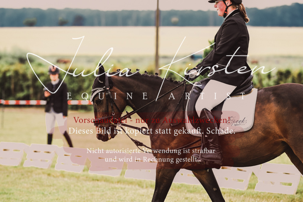 DSC_4928 | Pferde- und Turnierfotografie in Westsachsen. Pferdeportraits, Auftragszeichnungen und intuitive Kunst.