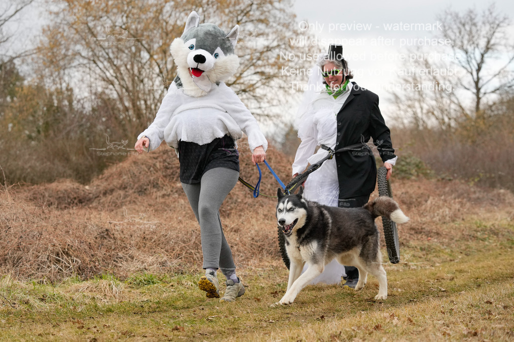 Fasching-50 | stephaniefillaphotographie - Realisiert mit Pictrs.com