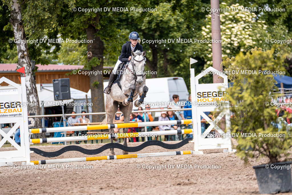 Eppelheim Tag 3-446 | dv-media-shop - Realisiert mit Pictrs.com