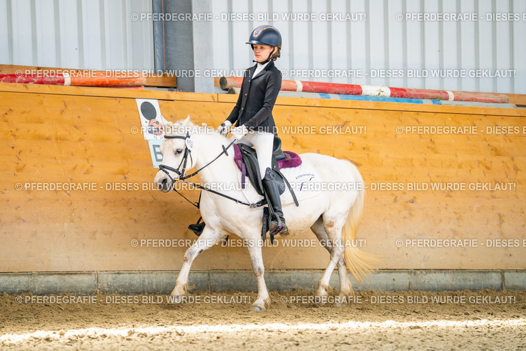 DSC03245 | Pferdegrafie