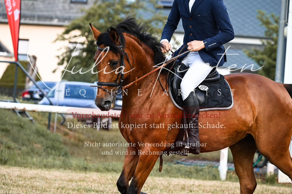 DSC_7602 | Pferde- und Turnierfotografie in Westsachsen. Pferdeportraits, Auftragszeichnungen und intuitive Kunst.