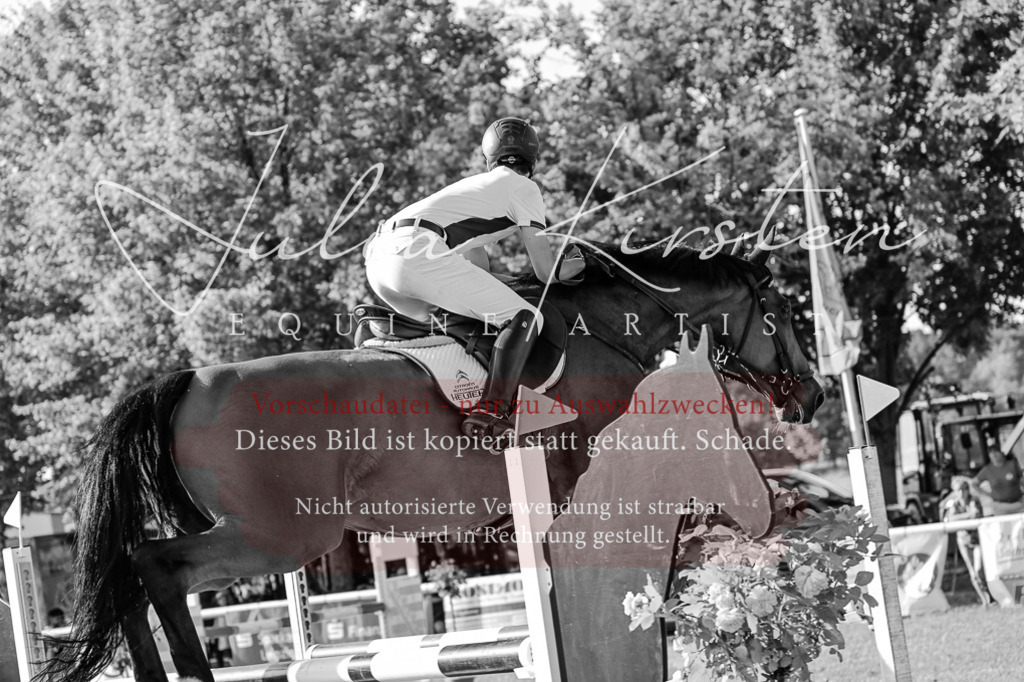 DSC_2676 | Pferde- und Turnierfotografie in Westsachsen. Pferdeportraits, Auftragszeichnungen und intuitive Kunst.