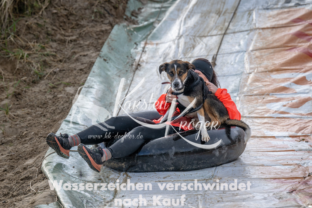 1618_ZZ94963 | kk-dogfotos