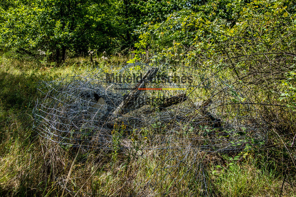 innerdeutsche Grenze Grünes Band Helmstedt-7396 | Die innerdeutsche deutsch-deutsche Grenze, das Grüne Band - Realisiert mit Pictrs.com