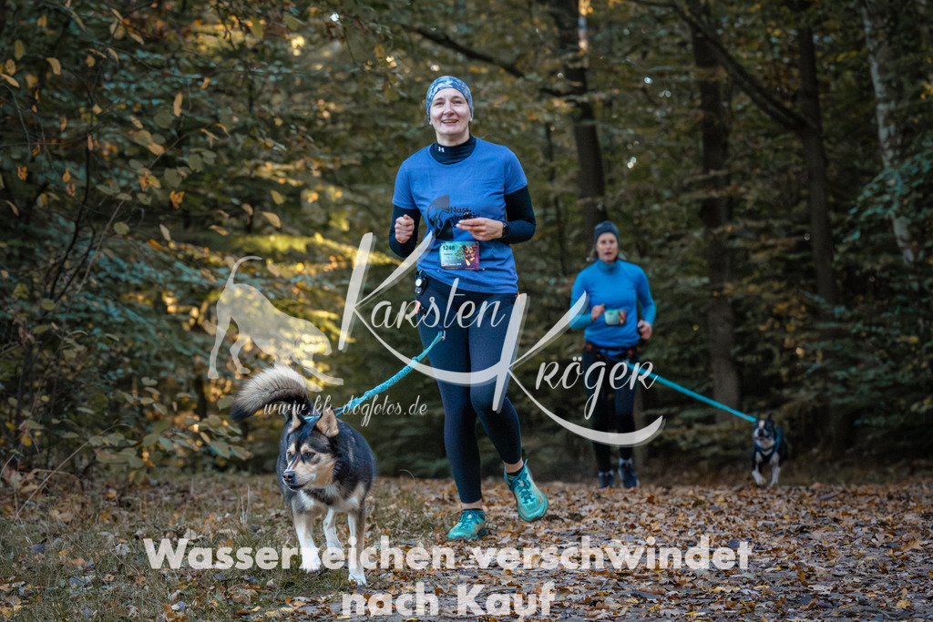 0908_ZZ97031 | kk-dogfotos