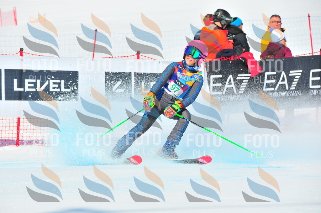 DSC_0667 | holidayphoto